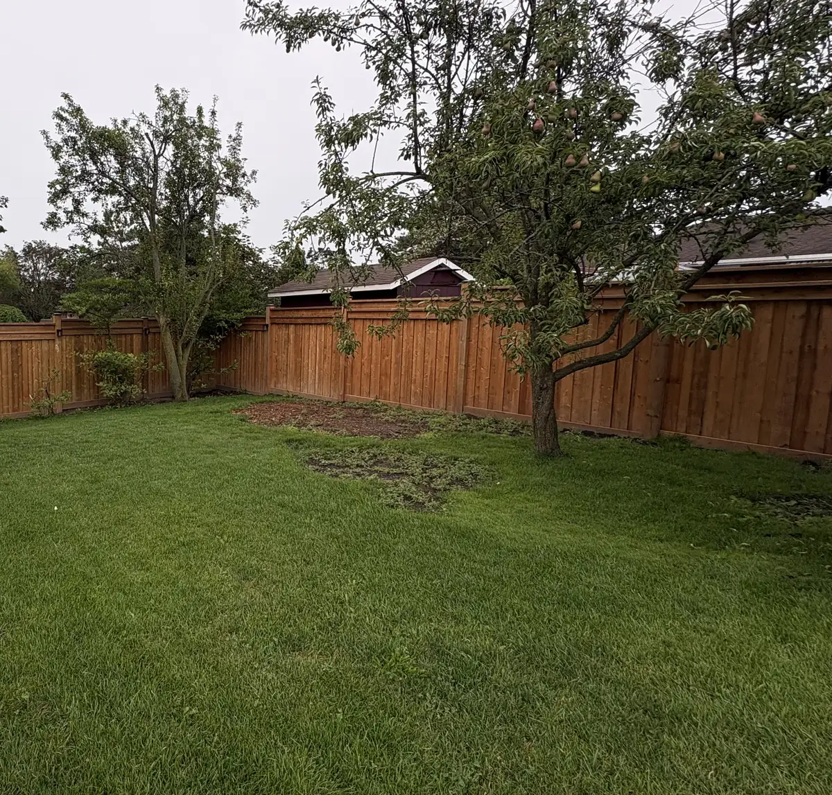 Finished cedar privacy fence wrapping a Barrie backyard, built by McNic Holes