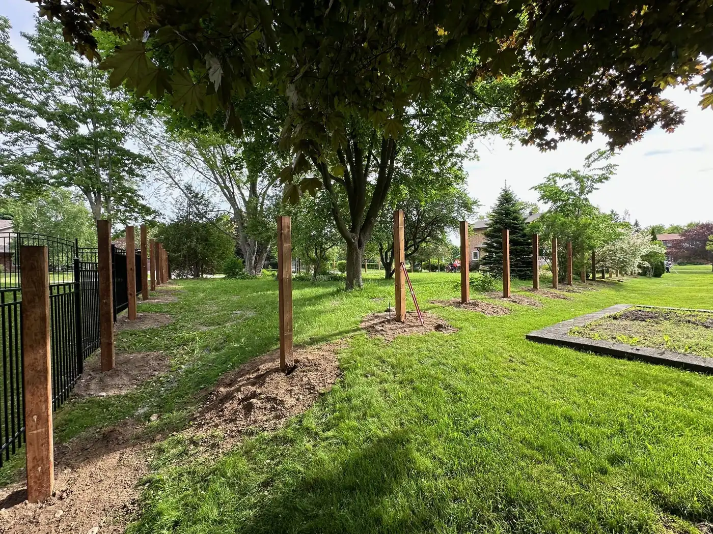 Fence posts set in a line across a large treed yard